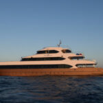 Hammerhead II Schiff Hammerhead II Schiff